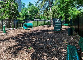 Bark Park With Agility Course